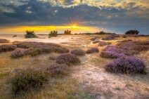 Dagaanbieding 4 dagen Veluwe