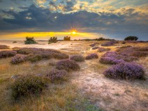 Dagaanbieding 4 dagen Veluwe