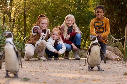 Dagaanbieding AquaZoo Leeuwarden tickets