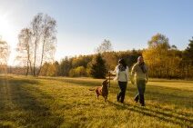 Dagaanbieding 3 dagen Twente HP