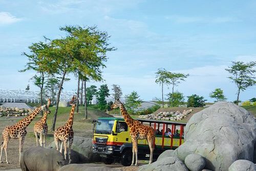 Dagaanbieding WILDLANDS in Emmen tickets (2 p.)