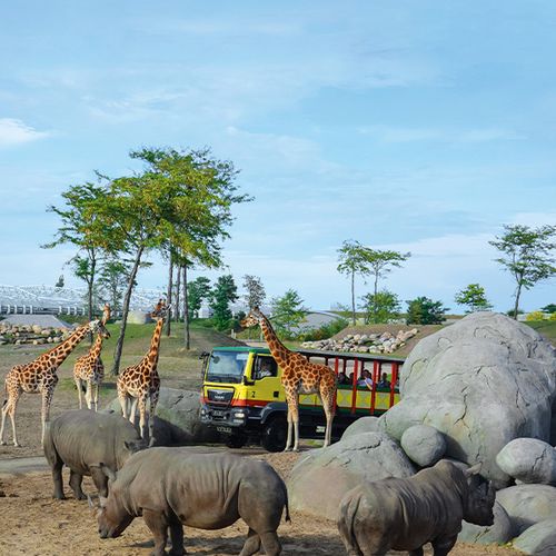 Dagaanbieding WILDLANDS in Emmen tickets (2 p.) Dagaanbieding WILDLANDS in Emmen tickets (2 p.)