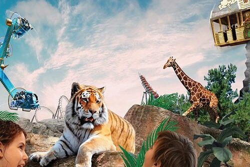 Dagaanbieding Bellewaerde Park in Ieper