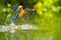 Dagaanbieding 3 dagen Waalwijk + diner