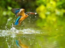 Dagaanbieding 3 dagen Waalwijk + diner