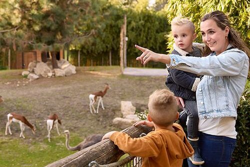 Dagaanbieding ZooParc Overloon tickets (2 p.)