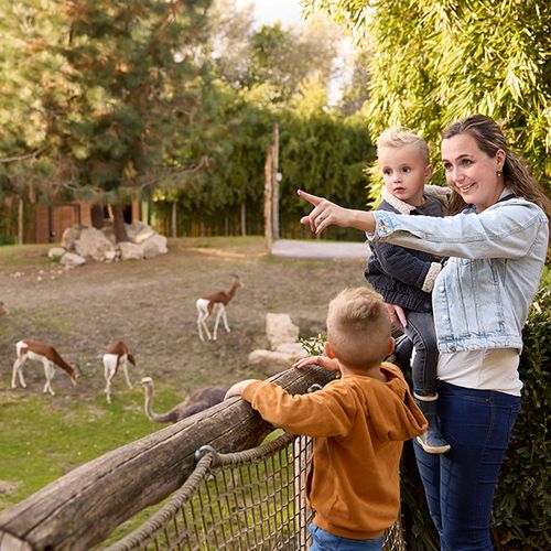 Dagaanbieding ZooParc Overloon tickets (2 p.) Dagaanbieding ZooParc Overloon tickets (2 p.)