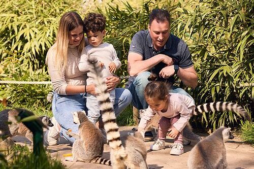 Dagaanbieding Dierenrijk tickets