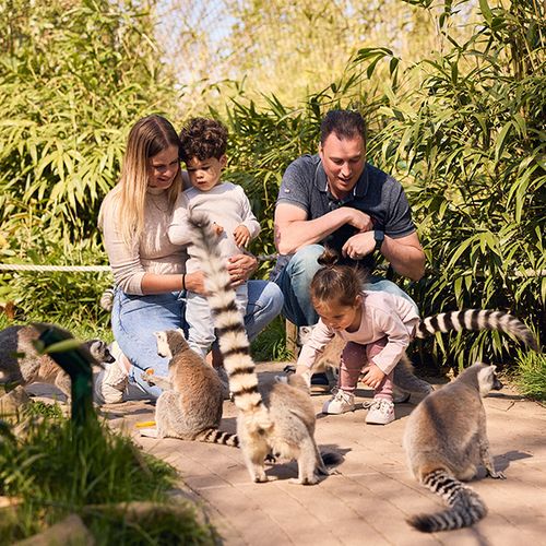 Dagaanbieding Dierenrijk tickets Dagaanbieding Dierenrijk tickets