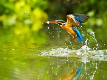 Dagaanbieding Laatste kans; 3 dagen Brabant incl. diner