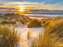 Dagaanbieding 3 dagen Pieterburen incl. Borkum & diner!