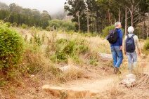 Dagaanbieding 4=3 Zeisterbos met ontbijt