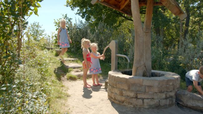 Dagaanbieding Vakantiepark Witterzomer
