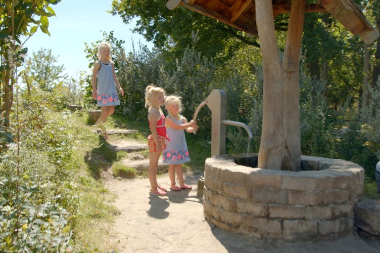 Dagaanbieding Vakantiepark Witterzomer